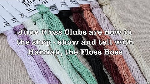 Evertote - Notes From the Workshop - Floss Boss Hannah show and tell