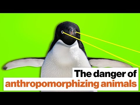 Wideo: Dlaczego antropomorfizm jest problemem dla nauki o dobrostanie zwierząt?
