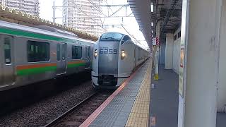 E259系成田エクスプレスとE231系1000番台が西大井を同時に通過するシーン