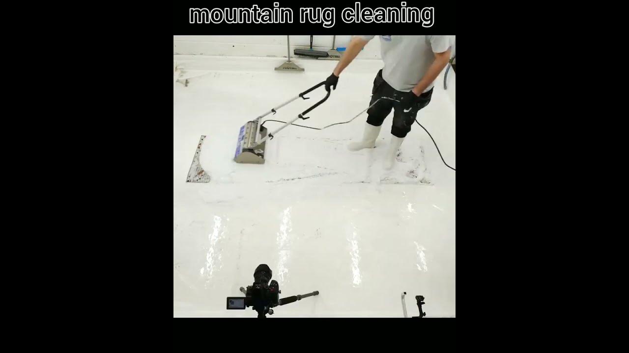 carpet cleaningzzzz best carpet cleaning videocleaning satisfying