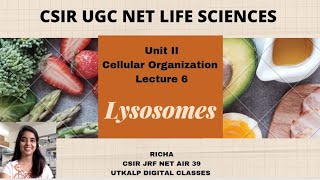 CSIR-NET Life Sciences Unit II, Lecture 6: Lysosomes