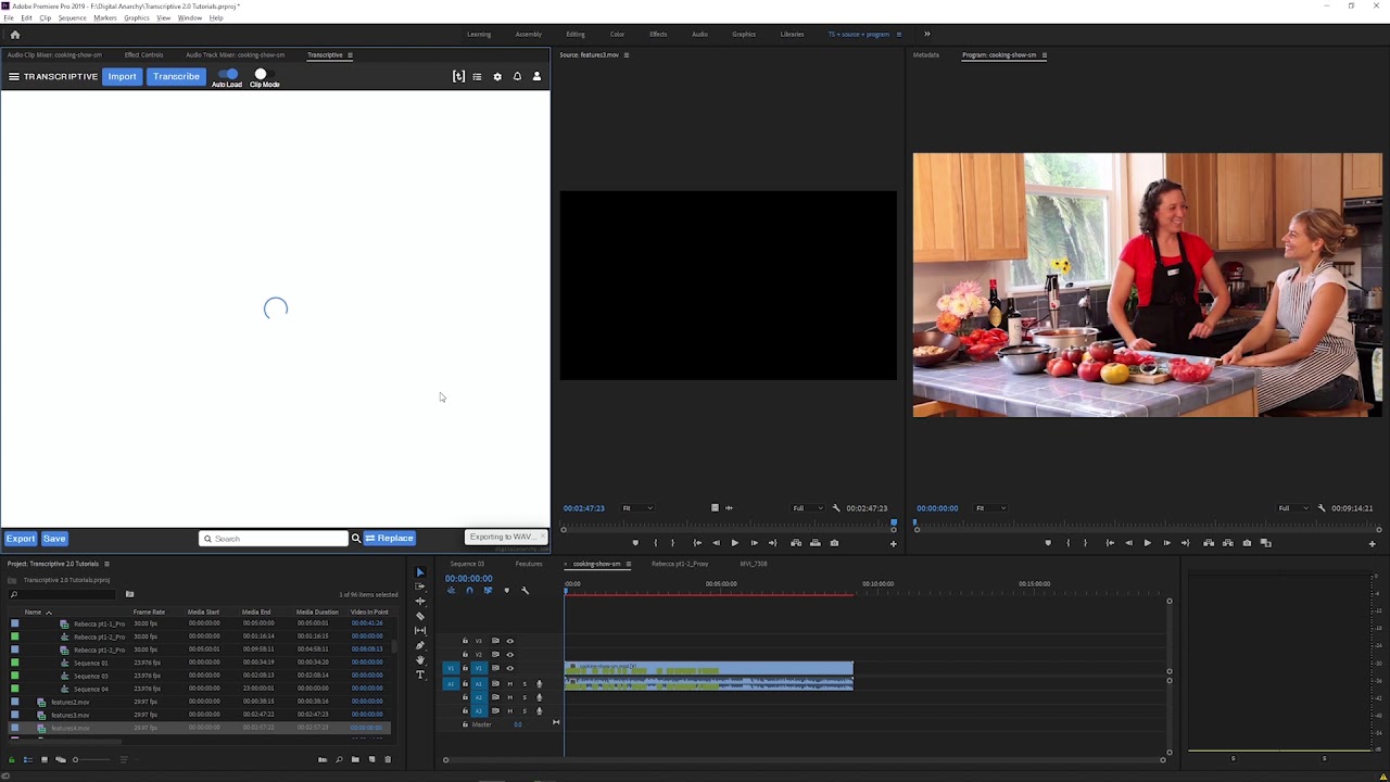 Transcriptive 2.0 Features Alignment YouTube