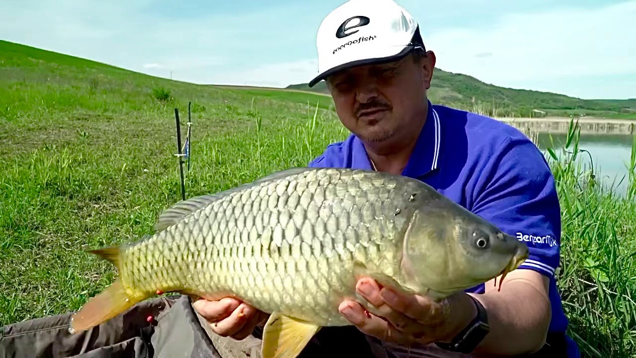 Crap la method pe carpodromul Transilvania