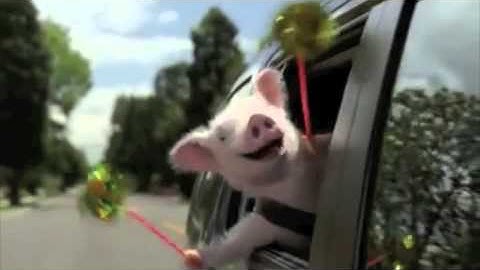 Figurative Language- Personification