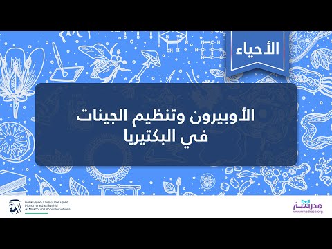 الأوبيرون وتنظيم الجينات في البكتيريا | الأحياء | تنظيم الجينات