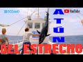 Atún del Estrecho, Documental