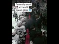 Fans broke the glass pane behind the Kings' bench after Scott Wedgewood's save