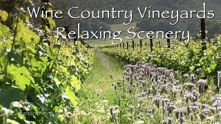 Wine Country Vineyards - Relaxing Winery Landscapes &amp; Nature Sounds