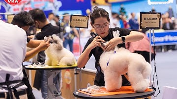 Cuộc thi cắt tỉa lông thú cưng cấp chứng chỉ quốc tế FCI đầu tiên tại VIỆT NAM