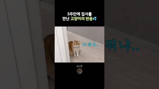 똥팡머신이 돌아온거였어..