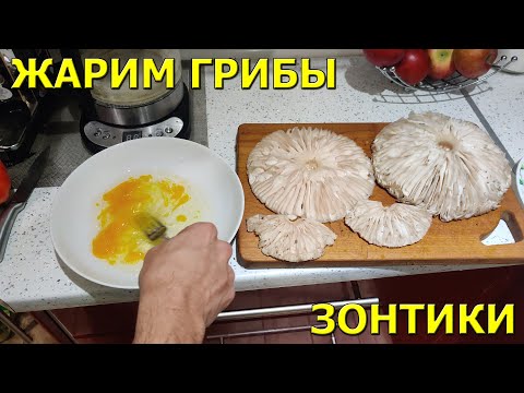 Жарим грибы зонтики!