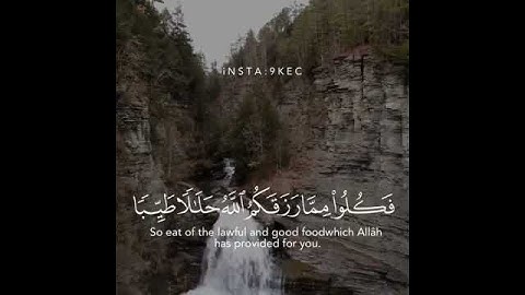 القارئ أحمد خضر صوت من السماء
