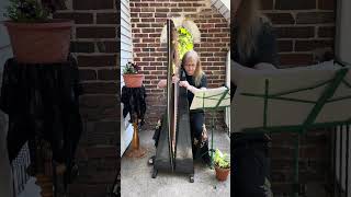 Suzanne Shields Performing To A Wild Rose