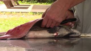 Nottawasaga Fishing Park Angus-fish fillet