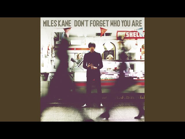 Miles Kane - What Condition Am I In?