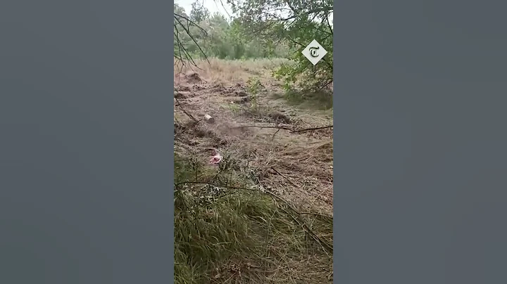 Ukrainian soldier detonates mine with a large stick - DayDayNews