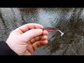 Gunki Grubby Shad video