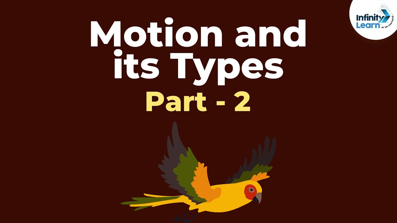 Chart On Different Types Of Motion