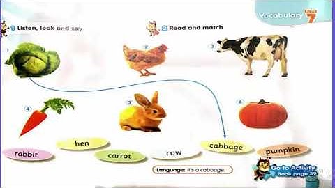 connect plus (KG.1)  / Unit .7 (lesson .1)