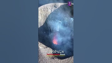 Surah Az-Zalzalah سورة الزلزله #tilawat #alquran #shotrs #viralvideo #islamicproductions