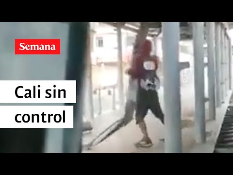 Desvalijan estación del MIO | Videos Semana