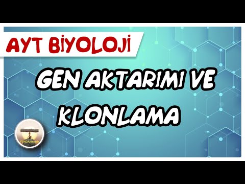 Video: Gen aktarımı süreci nedir?