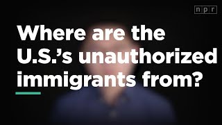 Where are the U.S.'s unauthorized immigrants from? | Let's Talk | NPR