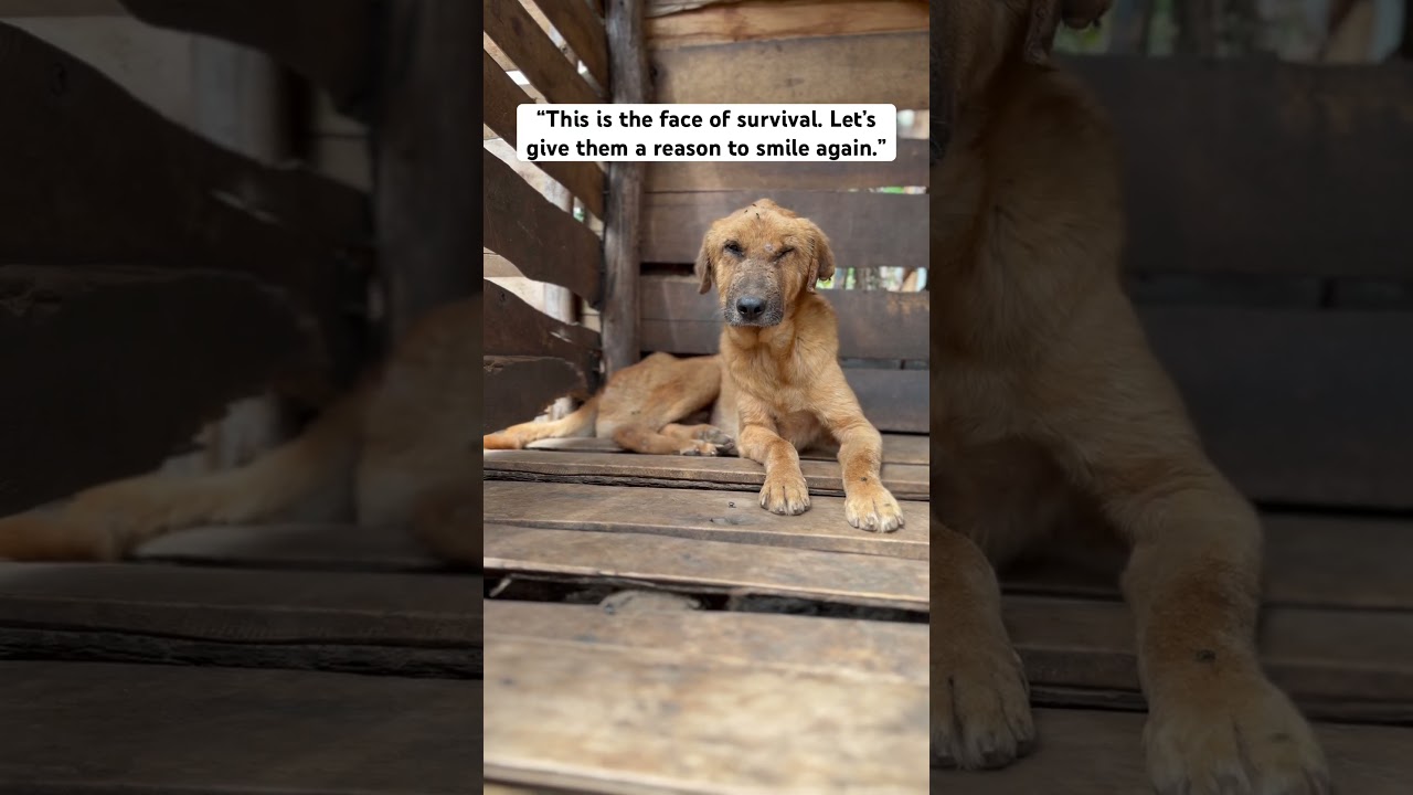 Being happy I also think it can make you happy 