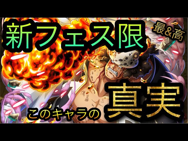 New Festival-exclusive Kuma! The truth about this character