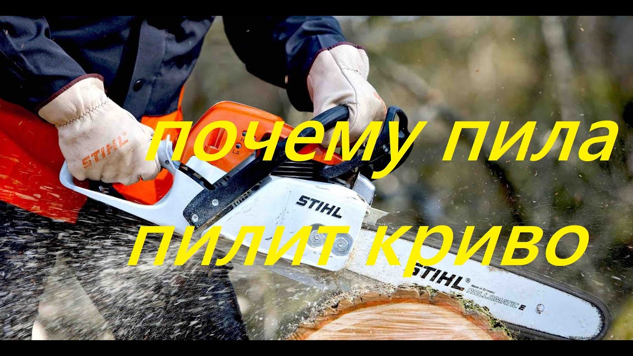 Почему пила жив