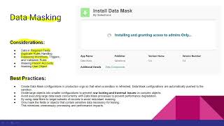 Salesforce Data Mask - Consideration and Best Practices