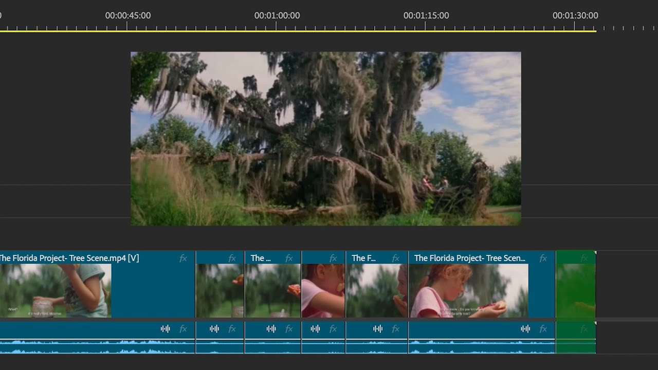 Scene Analysis - The Florida Project