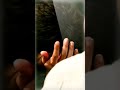 موال حزين عبد الامير ادريس تصاميم ستوريات حزينة