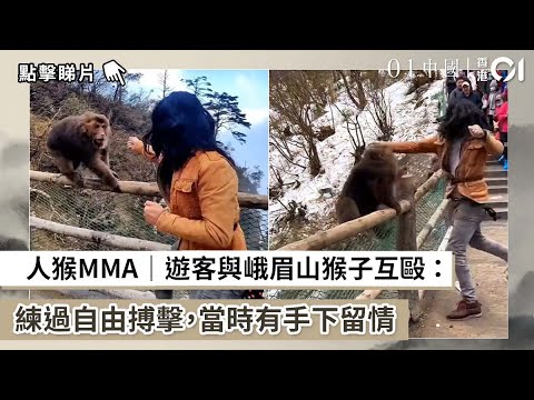 人猴MMA｜遊客與峨眉山猴子互毆 ：練過自由搏擊，當時有手下留情｜01中國｜大國小事｜猴子
