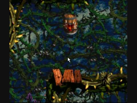 Donkey Kong Country 2 Speed Runs.- Bramble Scramble, Screech's Sprint.