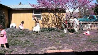 easter 011.avi