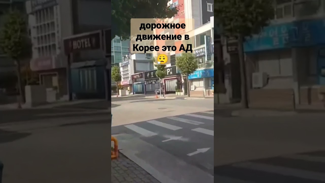 ⁣#корея #пдд #транспорт #южнаякорея #путешествия #машины #туризм #корейцы #водители