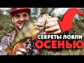 Ловля ОКУНЯ на дикой реке со средним течением! Рыбалка на спиннинг!