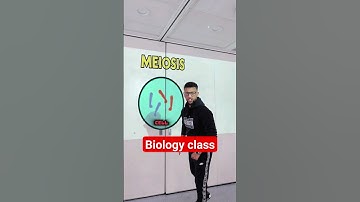 Meiosis explained - GCSE