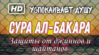 Коран Для Сердца И Души. Защита От Колдовство. Успокоение Души