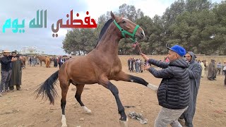 سوق الخميسات اليوم زوين  14/05/2024