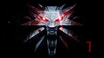 The Witcher 1 Enhanced Edition (Blind, Hard) Longplay Prolouge Part 1