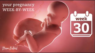 30 Weeks Pregnant - Natural Pregnancy Week-By-Week