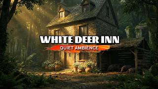 Suikoden II White Deer Inn 🌲 | Quiet Forest Ambience for Relax & Sleep (1 Hour) screenshot 3