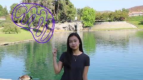 The Manipulation of Mitochondria by Cancer Cells || Breakthrough Junior Challenge 2020 Jolleen Mejia