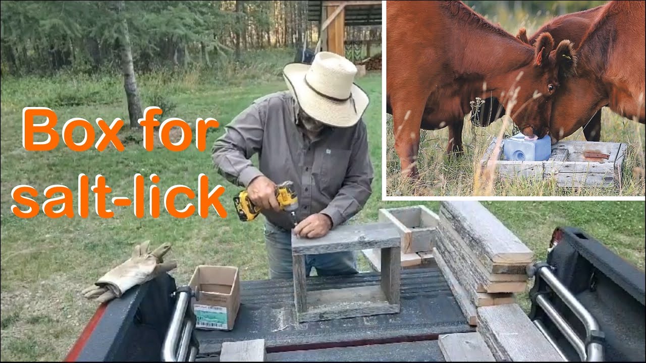 Making salt boxes - YouTube