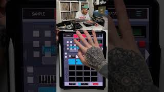 Koala Sampler Tips 11 - How To Add Swing #koalasampler #tutorial  #lofihiphop #nervouscooks