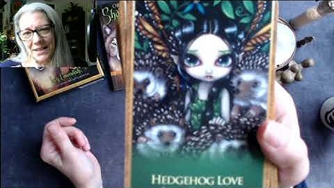 Unboxing: Oracle of the Shapeshifters