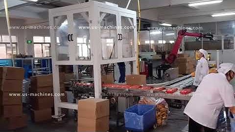 Automatic food bag tissue bag robot hands inserting carton palletizing machine cartoning palletizer