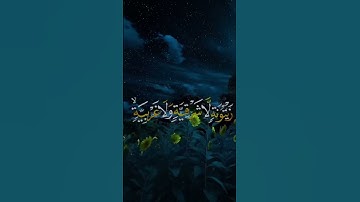 سوره النور (سلمان العتيبي )